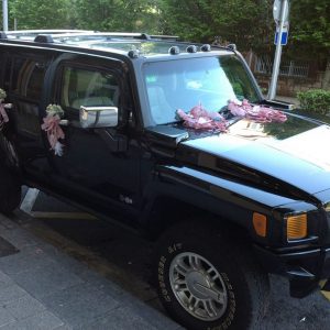 Decoración coche 4 puertas+ cristal delantero y trasero