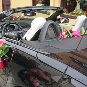 Decoración coche 4 ramos dobles