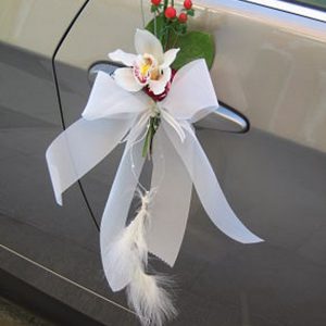 Decoración puertas del coche