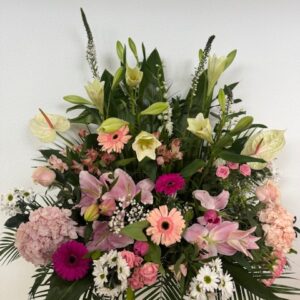 Centro Rosas DONOSTI