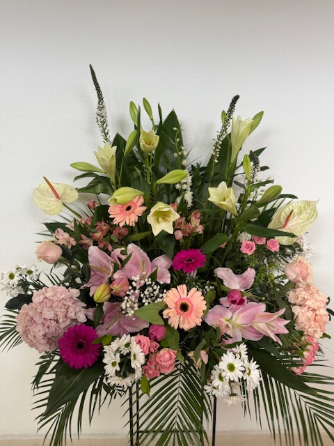 Centro Rosas DONOSTI